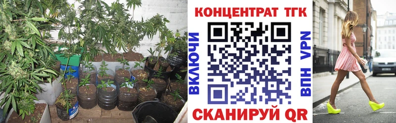 ТГК THC oil  Великие Луки 