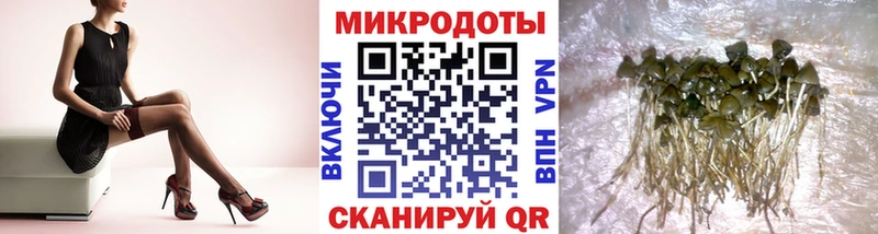 Галлюциногенные грибы мухоморы  цена наркотик  Великие Луки 